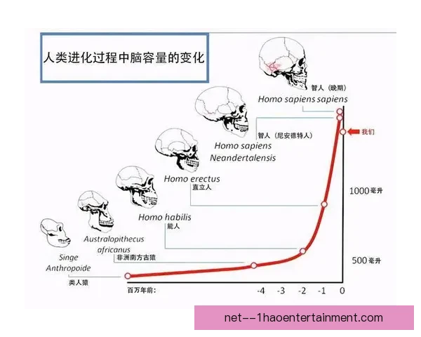从速度爆点到决策进化的维尼修斯技术特点再解析与价值评估体系适配